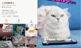 方言搞笑视频,搞笑视频里的方言魅力大揭秘