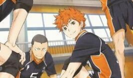 排球少年动漫,梦想与激情的青春交响曲